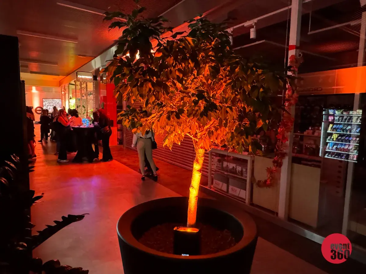 Wynajem naświetlacze bateryjnych led 