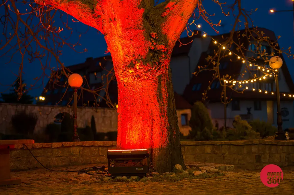 Wynajem girland żarówkowych rent360